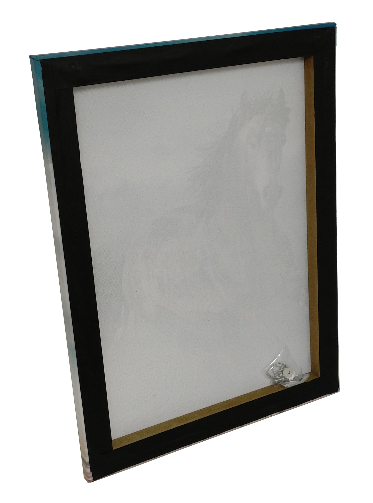 SOMNIUM EQUINAE (EQUINE DREAMS) CANVAS PRINT - WILD HORSE RUNNING