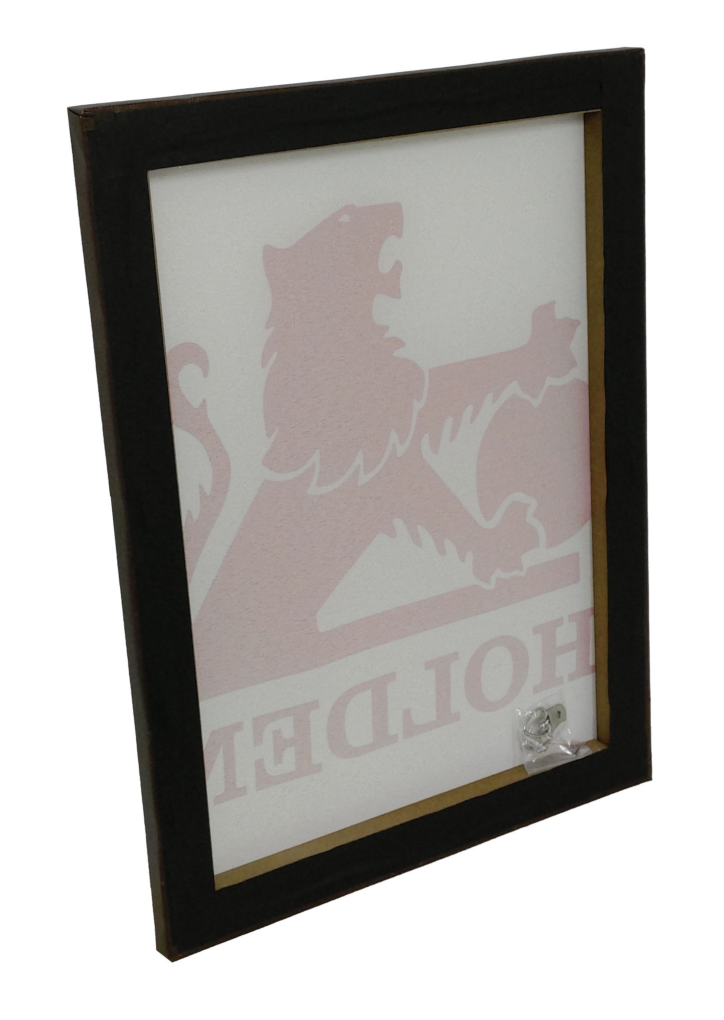 HOLDEN CANVAS PRINT