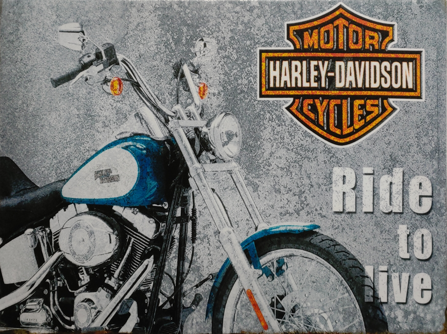 HARLEY-DAVIDSON RIDE TO LIVE CANVAS PRINT