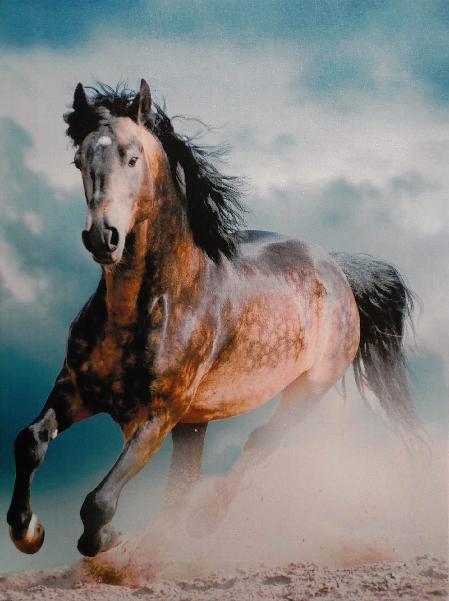 SOMNIUM EQUINAE (EQUINE DREAMS) CANVAS PRINT - WILD HORSE RUNNING