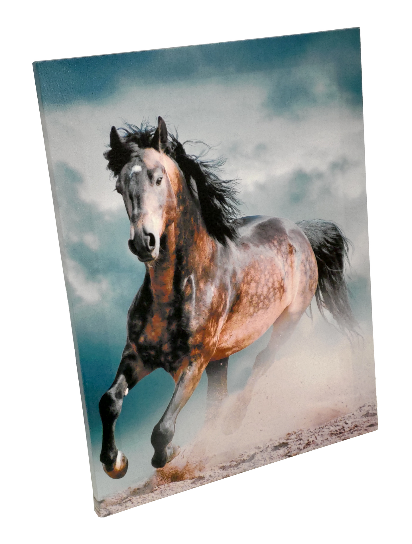 SOMNIUM EQUINAE (EQUINE DREAMS) CANVAS PRINT - WILD HORSE RUNNING